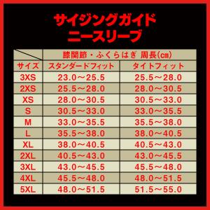 2013 ニースリーブ (試着用)