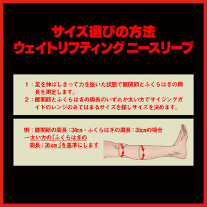 Reflect ウェイトリフティングニースリーブ