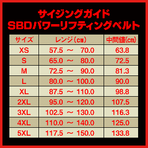 パワーリフティングベルト10mm