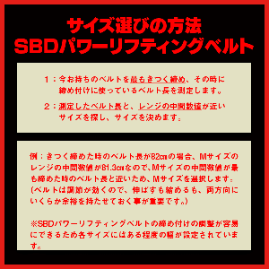 パワーリフティングベルト10mm(試着用)